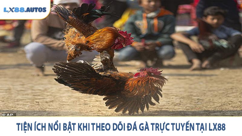 Tiện ích nổi bật khi theo dõi đá gà trực tuyến tại LX88
