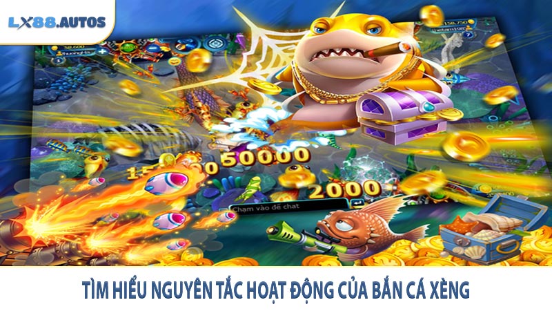 Tìm hiểu nguyên tắc hoạt động của bắn cá xèng